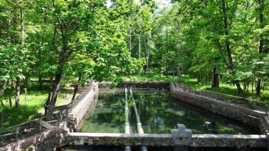 백산수의 수원지 내두천은 백두산 청정원시림 자연보호구역 내에 위치하고 있다. 세계 유일의 저온 용천수(땅 속에서 지표면으로 솟아나오는 물)가 흐르는 곳이다. 사진 농심