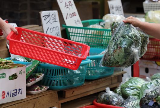 정부가 소비 진작 등 내수 활성화를 위해 2차 추가경정예산안을 국무회의에서 의결한 가운데, 19일 서울 마포구 망원시장에서 시민들이 장을 보고 있다. 뉴스1