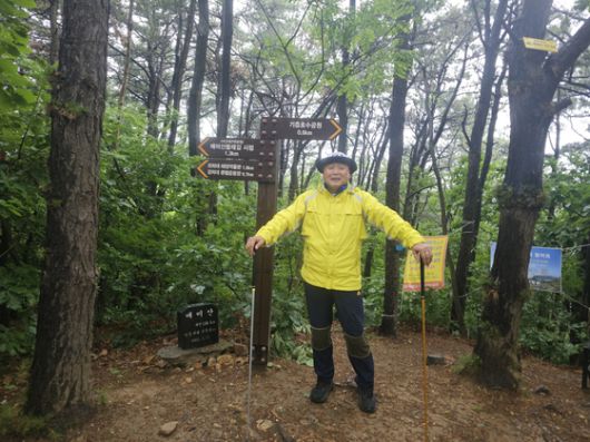 비가 제법 내린 지난 21일 이봉주가 경기도 수원시 집 근처 매미산 산책로를 걷고 있다. 각각 색깔이 다른 스틱은 골프 드라이버의 헤드를 제거해 그가 만든 것이다. 김영주 기자