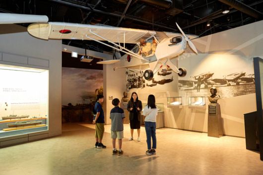 6·25전쟁 초기, 전투기가 한 대도 없었던 대한민국 공군은 연락기 후방석에서 손으로 폭탄을 던지는 등 힘겹게 싸웠다고 알려졌다.