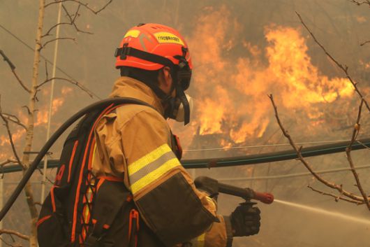 지난 3월 24일 경북 의성군 점곡면 윤암리 한 야산 아래 민가에서 강풍을 타고 산불이 번지자 현장에 출동한 경상북도 119산불특수대응단이 진화하고 있다. 뉴스1