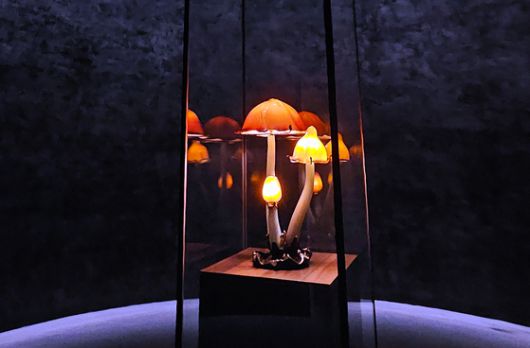유민 아르누보 뮤지엄에서 전시 중인 유럽 유리공예 작품. 에밀 갈레의 '버섯램프'다. 손민호 기자