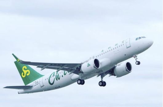 사진 스프링에어 SNS