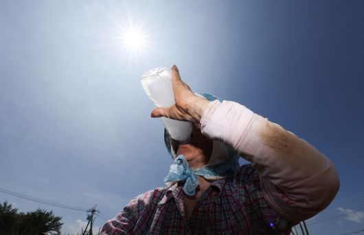 무더위가 계속되며 폭염특보가 발효 중인 2일 경북 고령군 다산면의 한 밭에서 파 모종을 심던 농민이 얼음물을 마시며 더위를 식히고 있다.연합뉴스