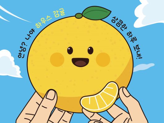 제주 하우스감귤 이미지. 사진 농협 제주본부