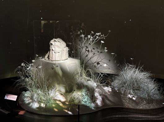 국립제주박물관이 이달부터 오는 10월 19일까지 ‘제주에 나빌레라-광복 80주년 기념 석주명 특별전’을 열고 있다. 사진은 석주명 선생이 직접 사용한 배낭. 나비 모양의 매듭이 인상적이다. 사진 최충일