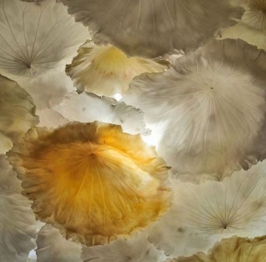 2025 청주공예비엔날레 본전시에 참여하는 프랑스 작가 모나 오렌의 '유키' 시리즈. 연잎 모양으로 캐스팅한 밀랍 수 십 장으로 구성됐다. 사진 모나 오렌