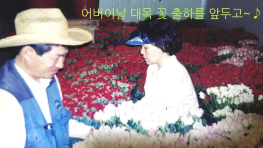 야심차게 시작한 화훼 농사는 13년을 공들이고도 빚만 남긴 채 접어야 했다. [사진 진영호]