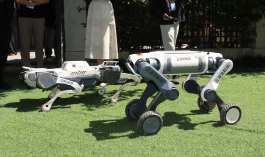 딥로보틱스 4족 로봇