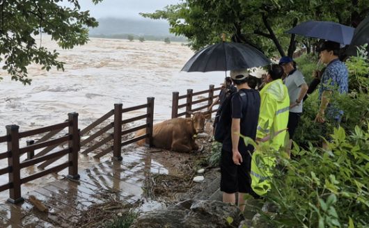 지난 19일 오후 경남 산청군 단성면 단성IC 인근 로터리에서 차 운전자들이 한국도로공사 직원에게 '고속도로 진입해도 되는지' 묻고 있다. 안대훈 기자