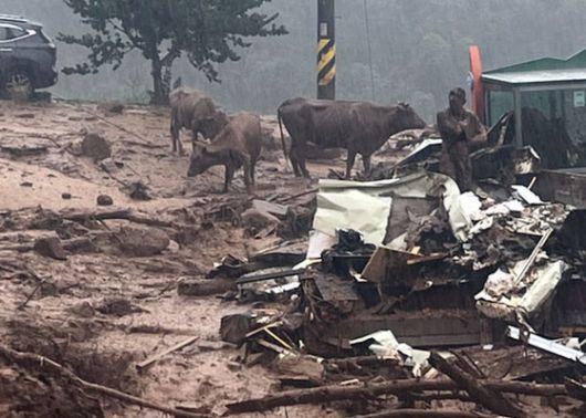 20일 오전 경남 산청군 산청읍 부리마을 산사태 현장에서 소방대원 등 관계자들이 실종자 수색 작업을 이어가고 있다. 뉴스1