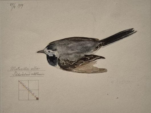만년의 ‘무제’ 연작 Ⅱ(1919)에는 새나 식물을 묘사한 세밀화 아래쪽에 추상적 기호와 메모를 남겼다. [사진 힐마 아프 클린트 재단, 마노엔터테인먼트]