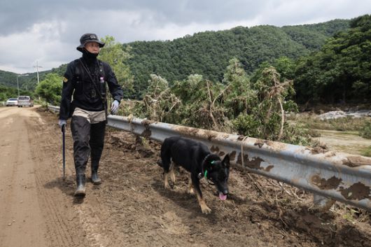 21일 경기도 가평군 수해현장에서 경찰 관계자와 체취 증거견이 캠핑장에서 실종된 일가족을 수색하고 있다. 전민규 기자