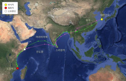 두견이 2개체가 2024년 8월 말~12월 말 이동한 경로. 한국에서 번식 후 중국, 인도, 스리랑카 등을 거쳐 아프리카 모잠비크까지 날아갔다. 사진 국립생물자원관