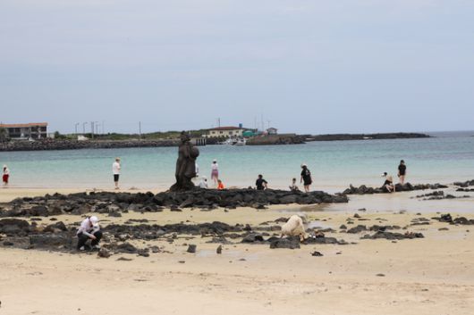 3일 오전 제주시 우도면 하수고동해수욕장을 찾은 피서객들이 물놀이를 즐기고 있다. [연합뉴스]