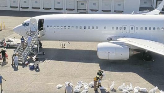 미국 이민세관단속국(ICE)이 지난 12일(현지시간) 시애틀 킹카운티 국제공항에서 이민자들을 수송하는 항공편을 운항하고 있다. AP=연합뉴스