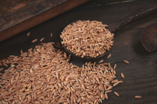 대표적인 저당 곡물인 파로는 100g당 당 함량이 2.4g정도로 낮다. 사진 그레인온