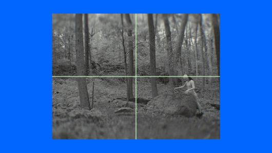 임영주, Calming Signal, 2023/2025, 3채널 영상 설치. 컨셉 이미지. 사진 프리즈 서울 제공