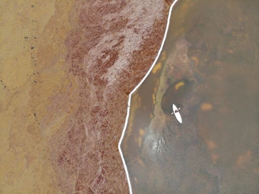 7월 20일(현지시각) 위성이 포착한 도미니카공화국 주변 카리브해의 모자반. 노란색과 갈색으로 표시된 영역이 모자반이다. SeSaM 제공