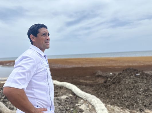 도미니카공화국 푼타카나 해안에서 모자반 유입을 막기 위해 망을 설치한 모습. 천권필 기자