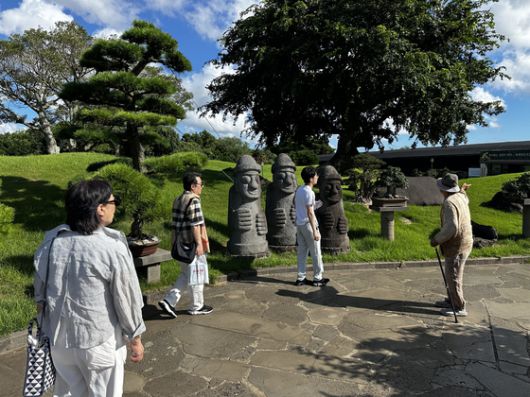 지난 8월 25일 찾은 제주 생각하는 정원의 한국향나무가 꼬여있는 모습. 최충일 기자