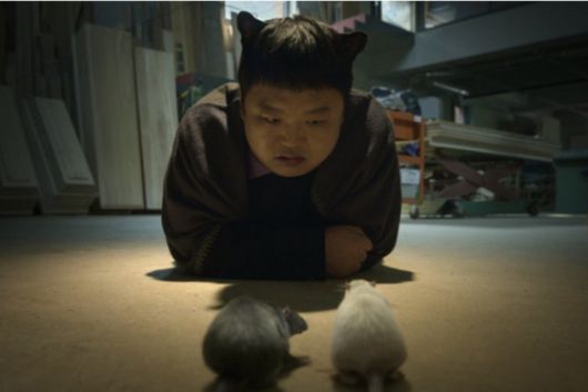 '다 이루어질지니'에서 본체가 재규어인 지니의 심복 세이드를 연기한 배우 고규필. 사진 넷플릭스