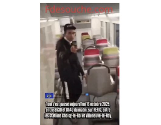 프랑스 파리의 한 열차에서 여성 승객이 폭행당하는 사건이 벌어졌다. x 캡처