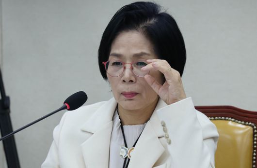 정청래 민주당 대표(왼쪽)와 김병기 민주당 원내대표(오른쪽)가 29일 국회에서 열린 최고위원회의에 참석했다. 임현동 기자