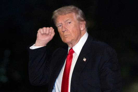 도널드 트럼프 미국 대통령이 지난 2일(현지시간) 워싱턴 DC 백악관 잔디밭을 걸어가며 오른손 주먹을 들어 보이고 있다. AP=연합뉴스