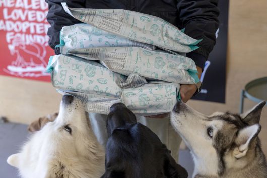 훈트에는 자원봉사자 외에도 도움의 손길이 이어진다. 한 사료 회사는 매월 100kg이상의 사료를 기부하고 경기 수원의 위치한 동물병원은 연계 진료를 진행한다. 장진영 기자