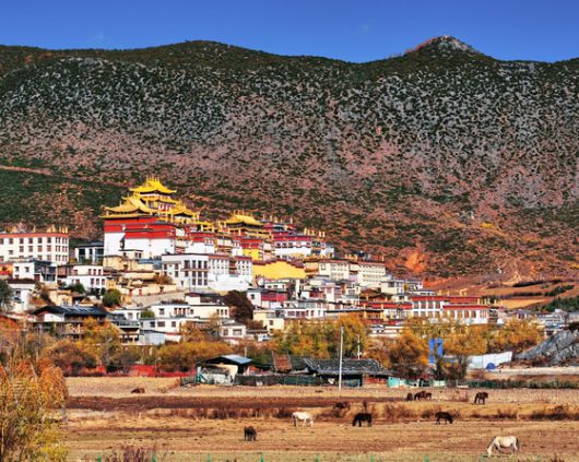 윈난성 최대의 티베트 불교 사원 송찬림사. 샹그릴라의 랜드마크이자 인기 관광지다. 티베트 고원과 이국적인 사원을 배경으로 인생 사진을 담으려는 중국 MZ세대의 발길이 끊이지 않는다.