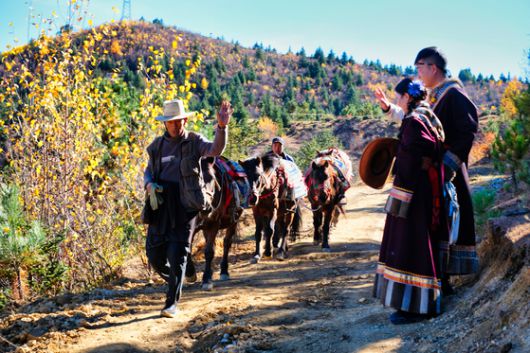 해발 3300m에 위치한 샹그릴라에는 여전히 말을 운송 수단 삼아 살아가는 이들이 있다.