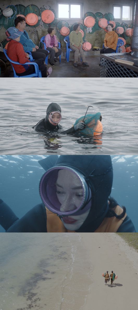 ‘딥 다이브 코리아’. 사진| JTBC