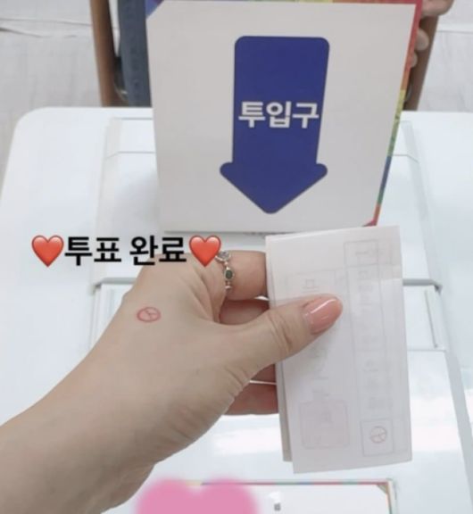 국화가 투표 인증하며 게재한 사진. 사진|국화 SNS