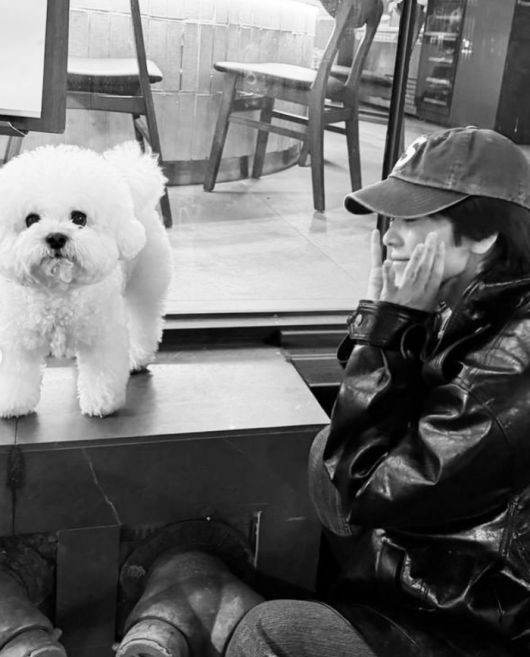 송혜교. 사진|송혜교 인스타그램