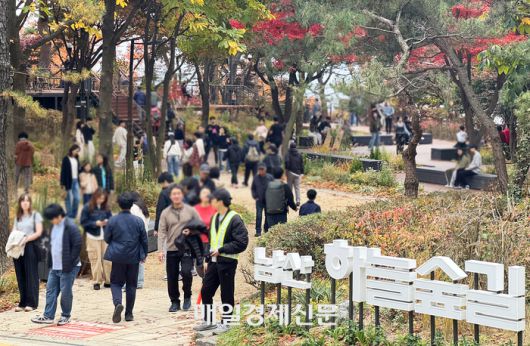 지난 주말 남산 하늘숲길을 찾은 시민들이 가을을 느끼고 있다. <강영국 기자>