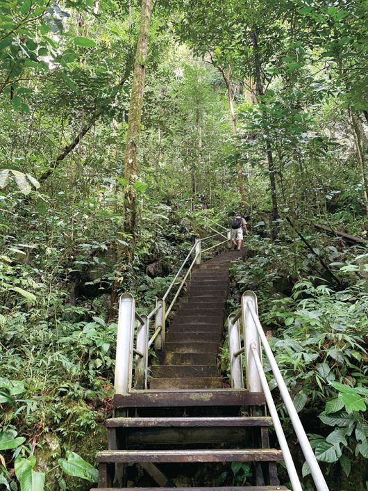 클리어워터 동굴로 향하는 300여 개의 계단