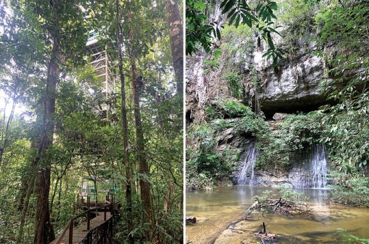 (좌) 열대우림 사이에 솟아 있는 트리탑타워, (우) 열대우림 속에 숨어 있는 파쿠폭포