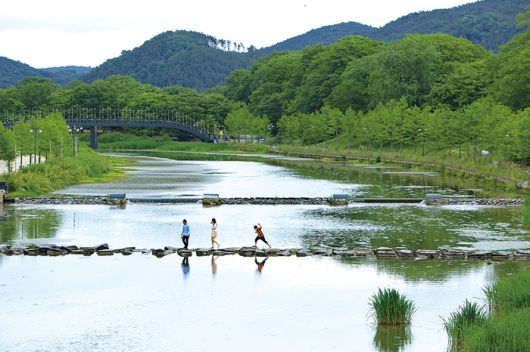 관방제림 앞 담양천