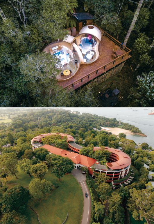(위) 브라질 우루비시의 숲속에 위치한 투명돔 형태의 자이언 버블 글램핑 (아래) 자연 지형을 그대로 살린 카펠라 레지던스 서울은  바이오필릭  디자인의 대표 사례로 평가받는다.