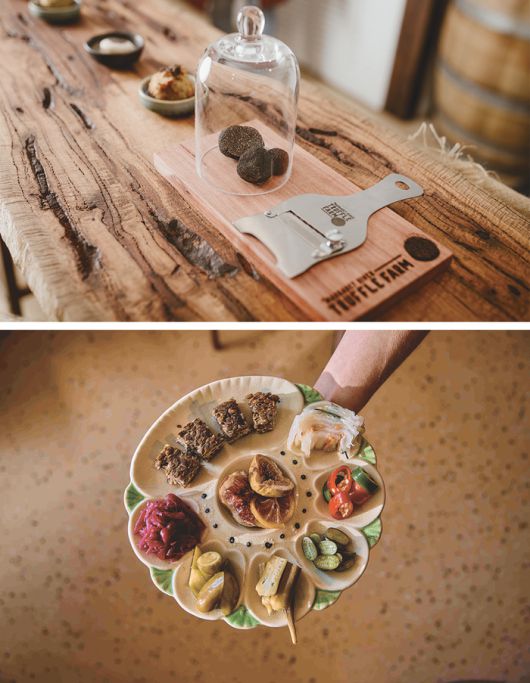 (위) 트러플 탐지견과 함께 버섯을 따는  ‘마가렛 리버  트러플 농장’ (아래) 비건 전문 레스토랑 ‘플로라’