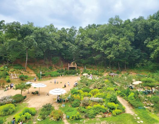 식물을 키우며 치유하는 ‘반디세상’