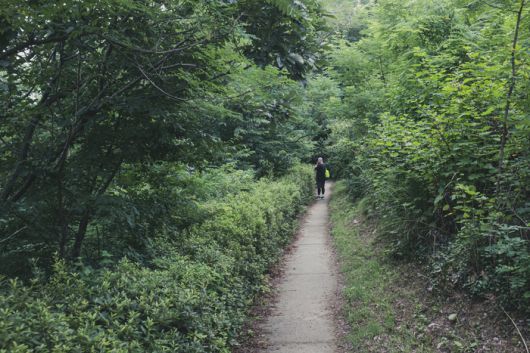 분산성 가는 숲길