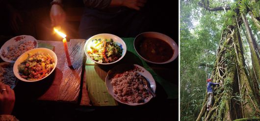 정글 트레킹에서 맛본 최고의 저녁 밥상, 울창한 숲과 계곡을 따라 즐기는  정글 트레킹