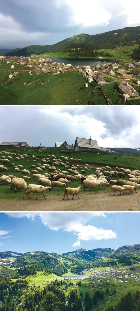 (위로부터)동화책의 한 장면 같은 목가적인 호수마을 전경, 브라니차산의 고지대에 자리한 프로코스코 호수, 푸르른 초원 위를 뛰노는 양떼들의 모습