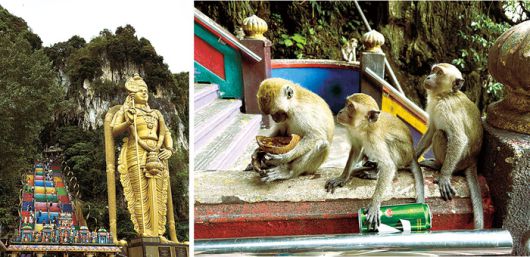 (좌)황금빛 무루간 동상 뒤로 272개의  계단을 올라 사원에 닿았다 (우)동굴 일대에 서식하는 원숭이무리
