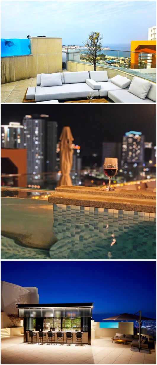 (첫 번째, 두 번째)수영장에는 투명 아크릴판이 설치돼 물 속 내부가 보인다. (세 번째)스카이21 루프톱 바