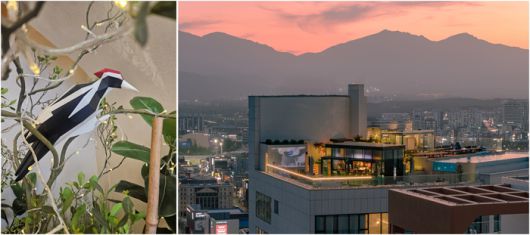 (좌)까막 딱따구리 종이접기 모형 (우)홈 마리나 속초 전경