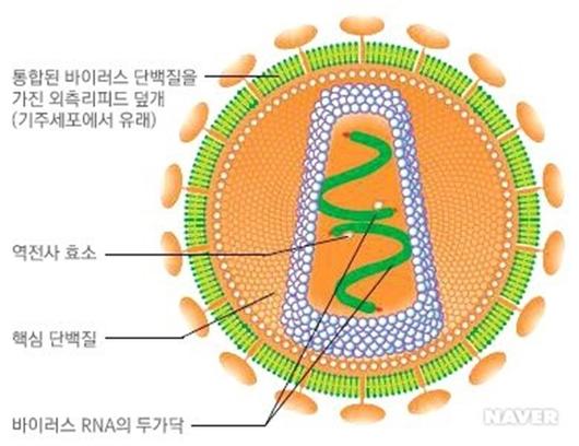 아시아경제