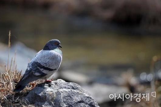 아시아경제